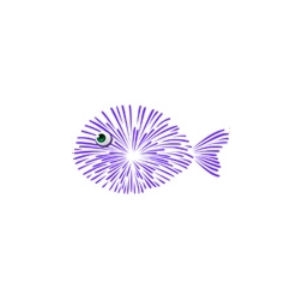 Purple Fireworks Fish